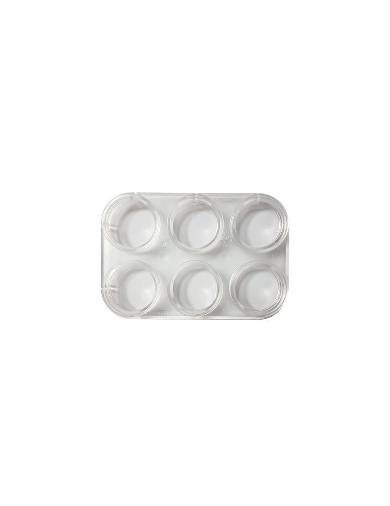 Haz tu paleta de 6 transparente