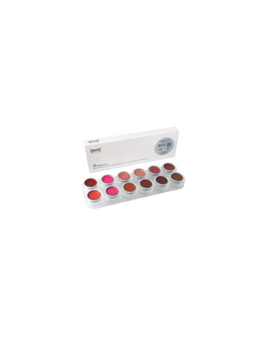 Paleta labiales 12 colores perlados lp