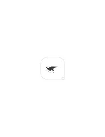Plantilla 115 dinosaurio a5