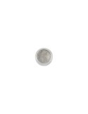 Sparkling powder 701 silver moon