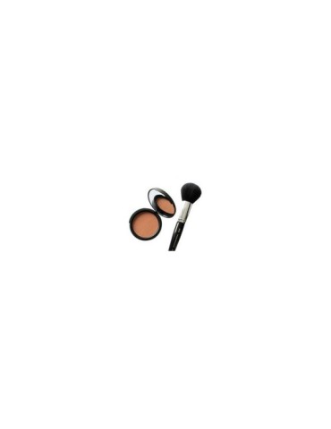 Bronzing powder set