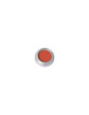 Sombras/eyeshadow 2,5gr naranja 554