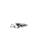 Plantilla p119 leopardo en llamas